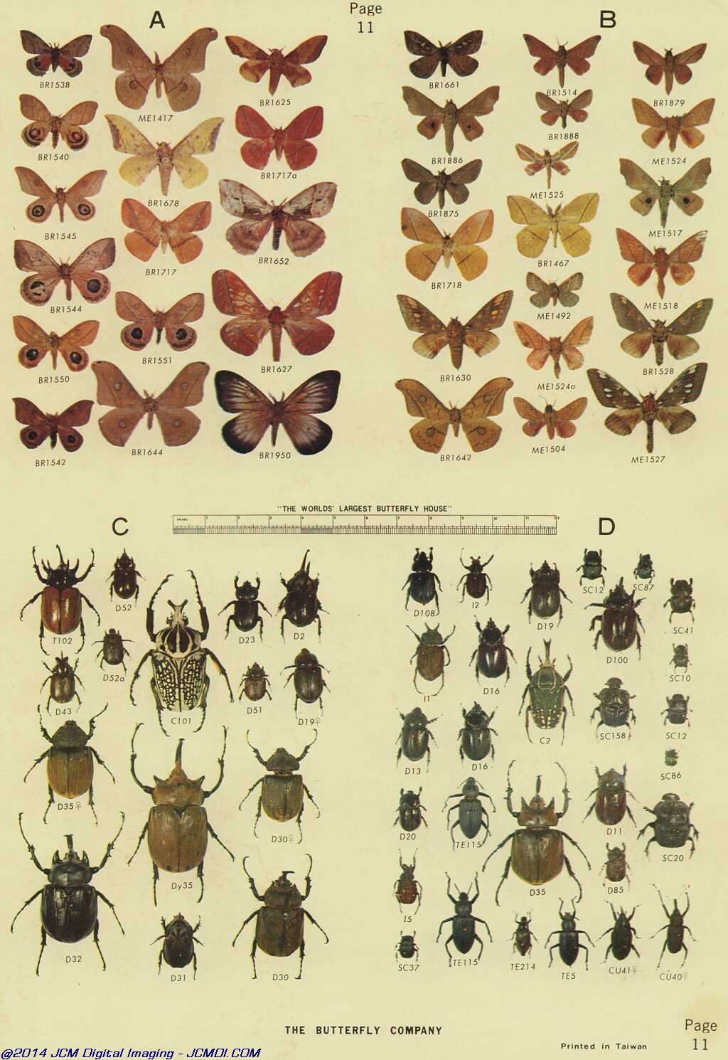 The Butterfly Company (NY) 18 page catalog 1976